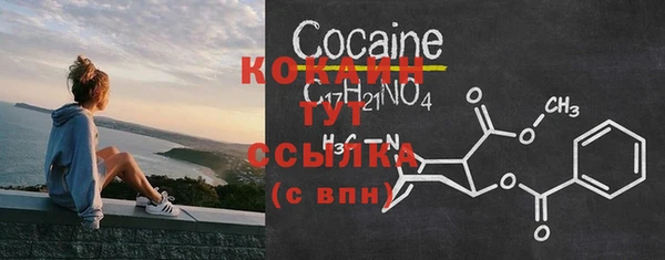 дживик Абинск