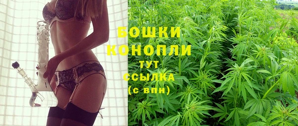 крисы Абдулино