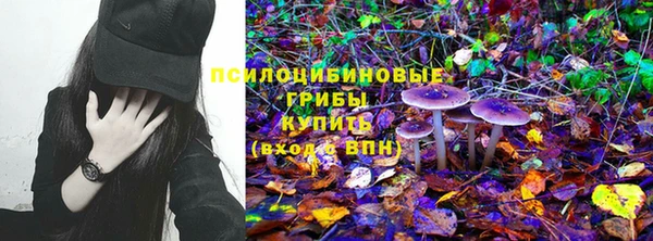 метадон Алексеевка