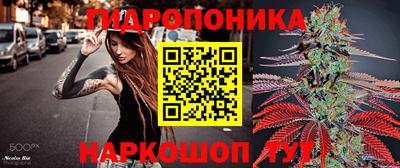 метадон Будённовск