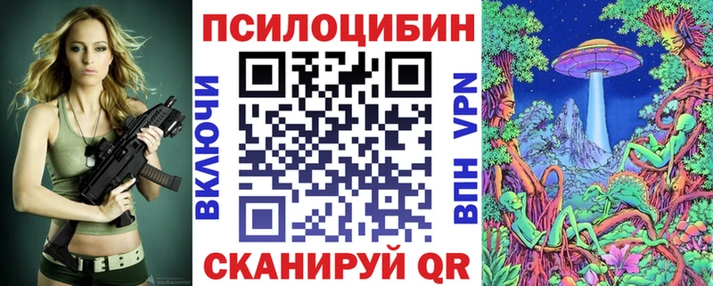 Псилоцибиновые грибы Psilocybe сайты даркнета формула Лангепас гидра маркетплейс