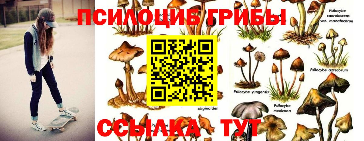 наркота  Галлюциногенные грибы мухоморы  Лангепас  Вход с VPN  Псилоцибиновые грибы Psilocybe 